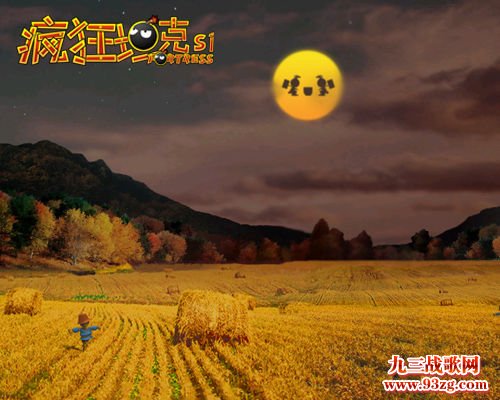 休闲好伴侣
