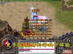 冰封轻变传奇,新开冰封轻变传奇,冰封轻变传奇发布网